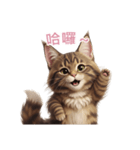 【繁體字】 メインクーン スタンプ 2（個別スタンプ：4）