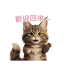 【繁體字】 メインクーン スタンプ 2（個別スタンプ：9）