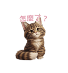 【繁體字】 メインクーン スタンプ 2（個別スタンプ：15）