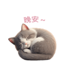 【繁體字】 灰色＆白色 ねこ スタンプ 2（個別スタンプ：11）