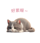 【繁體字】 灰色＆白色 ねこ スタンプ 2（個別スタンプ：13）