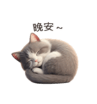 【繁體字】 灰色＆白色 ねこ スタンプ 1（個別スタンプ：11）