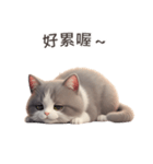【繁體字】 灰色＆白色 ねこ スタンプ 1（個別スタンプ：13）