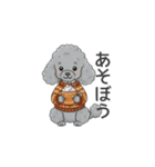 トイプードル グレー（秋冬のスタンプ）（個別スタンプ：7）