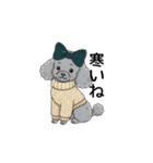 トイプードル グレー（秋冬のスタンプ）（個別スタンプ：13）