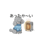 トイプードル グレー（秋冬のスタンプ）（個別スタンプ：15）