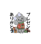 トイプードル グレー（秋冬のスタンプ）（個別スタンプ：29）