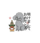 トイプードル グレー（秋冬のスタンプ）（個別スタンプ：35）