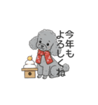 トイプードル グレー（秋冬のスタンプ）（個別スタンプ：36）