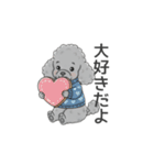 トイプードル グレー（秋冬のスタンプ）（個別スタンプ：40）