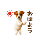 踊る！ジャックラッセルテリア（個別スタンプ：1）