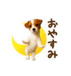 踊る！ジャックラッセルテリア（個別スタンプ：2）