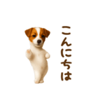 踊る！ジャックラッセルテリア（個別スタンプ：3）