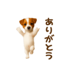 踊る！ジャックラッセルテリア（個別スタンプ：4）