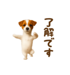 踊る！ジャックラッセルテリア（個別スタンプ：5）