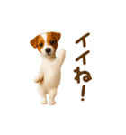 踊る！ジャックラッセルテリア（個別スタンプ：6）