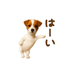 踊る！ジャックラッセルテリア（個別スタンプ：7）