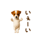 踊る！ジャックラッセルテリア（個別スタンプ：11）