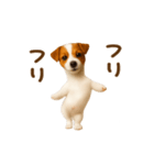 踊る！ジャックラッセルテリア（個別スタンプ：13）