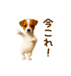 踊る！ジャックラッセルテリア（個別スタンプ：14）