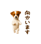 踊る！ジャックラッセルテリア（個別スタンプ：16）