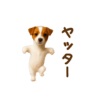 踊る！ジャックラッセルテリア（個別スタンプ：19）