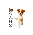 踊る！ジャックラッセルテリア（個別スタンプ：23）