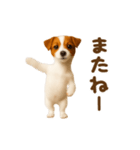 踊る！ジャックラッセルテリア（個別スタンプ：24）