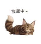 【繁體字】 メインクーン スタンプ 1（個別スタンプ：5）