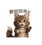 【繁體字】 メインクーン スタンプ 1（個別スタンプ：9）