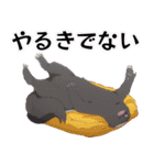 川越ボーイズ・シング（個別スタンプ：29）