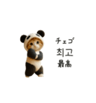 着ぐるみネコの韓国語♡（個別スタンプ：7）
