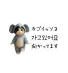 着ぐるみネコの韓国語♡（個別スタンプ：21）