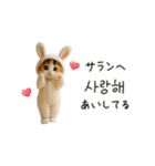着ぐるみネコの韓国語♡（個別スタンプ：24）