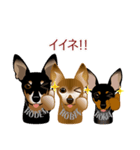 まめぴん321*3Rfamily.ver（個別スタンプ：1）