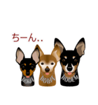 まめぴん321*3Rfamily.ver（個別スタンプ：5）