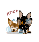 まめぴん321*3Rfamily.ver（個別スタンプ：9）