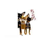 まめぴん321*3Rfamily.ver（個別スタンプ：11）