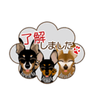 まめぴん321*3Rfamily.ver（個別スタンプ：24）