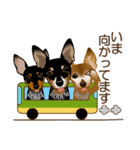 まめぴん321*3Rfamily.ver（個別スタンプ：25）