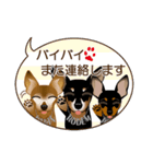 まめぴん321*3Rfamily.ver（個別スタンプ：31）