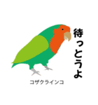 カレッジ シュールBird 1（個別スタンプ：3）