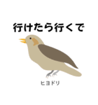 カレッジ シュールBird 1（個別スタンプ：4）