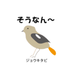 カレッジ シュールBird 1（個別スタンプ：7）