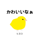 カレッジ シュールBird 1（個別スタンプ：11）