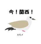 カレッジ シュールBird 1（個別スタンプ：15）
