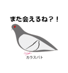 カレッジ シュールBird 1（個別スタンプ：16）