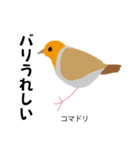 カレッジ シュールBird 1（個別スタンプ：17）