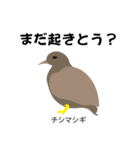 カレッジ シュールBird 1（個別スタンプ：18）