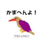 カレッジ シュールBird 1（個別スタンプ：22）